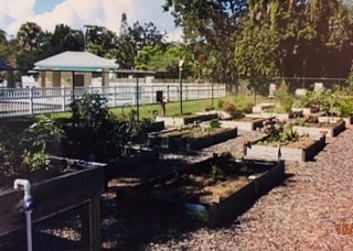 Community Garden 2